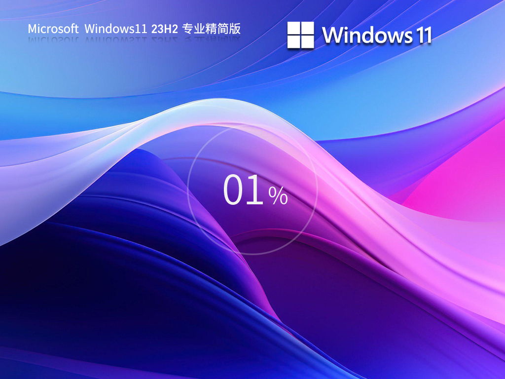 系统之家 Windows11 23H2专业精简版64位系统(轻量级)