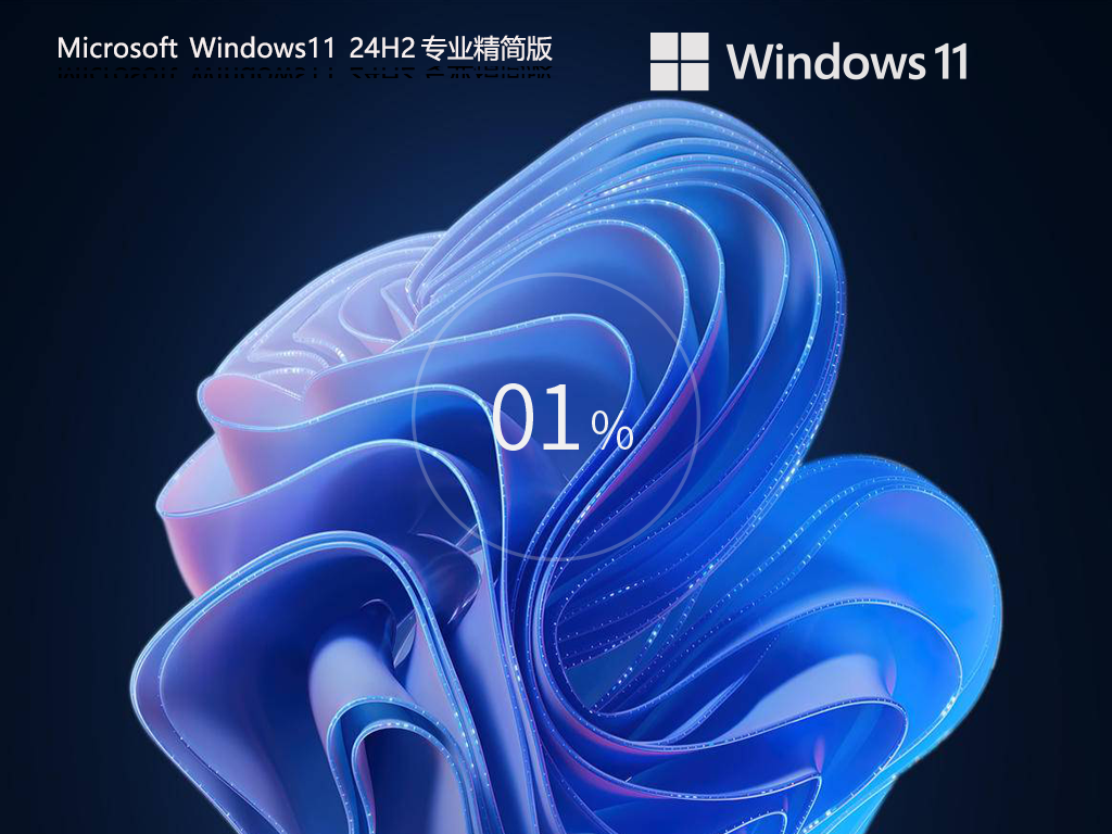 深度技术 Win11 24H2 26100 专业精简版